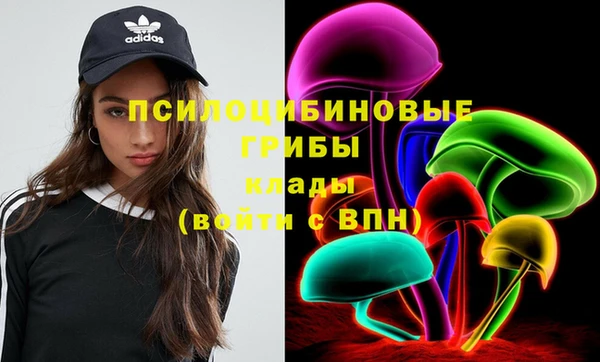ПСИЛОЦИБИНОВЫЕ ГРИБЫ Абаза