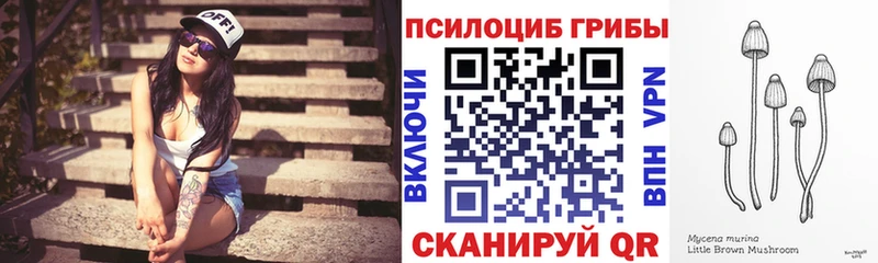 Псилоцибиновые грибы Psilocybine cubensis  купить  цена  Апшеронск 